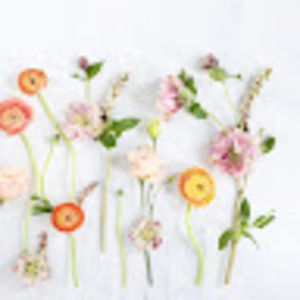 Meet your Posher, Mae